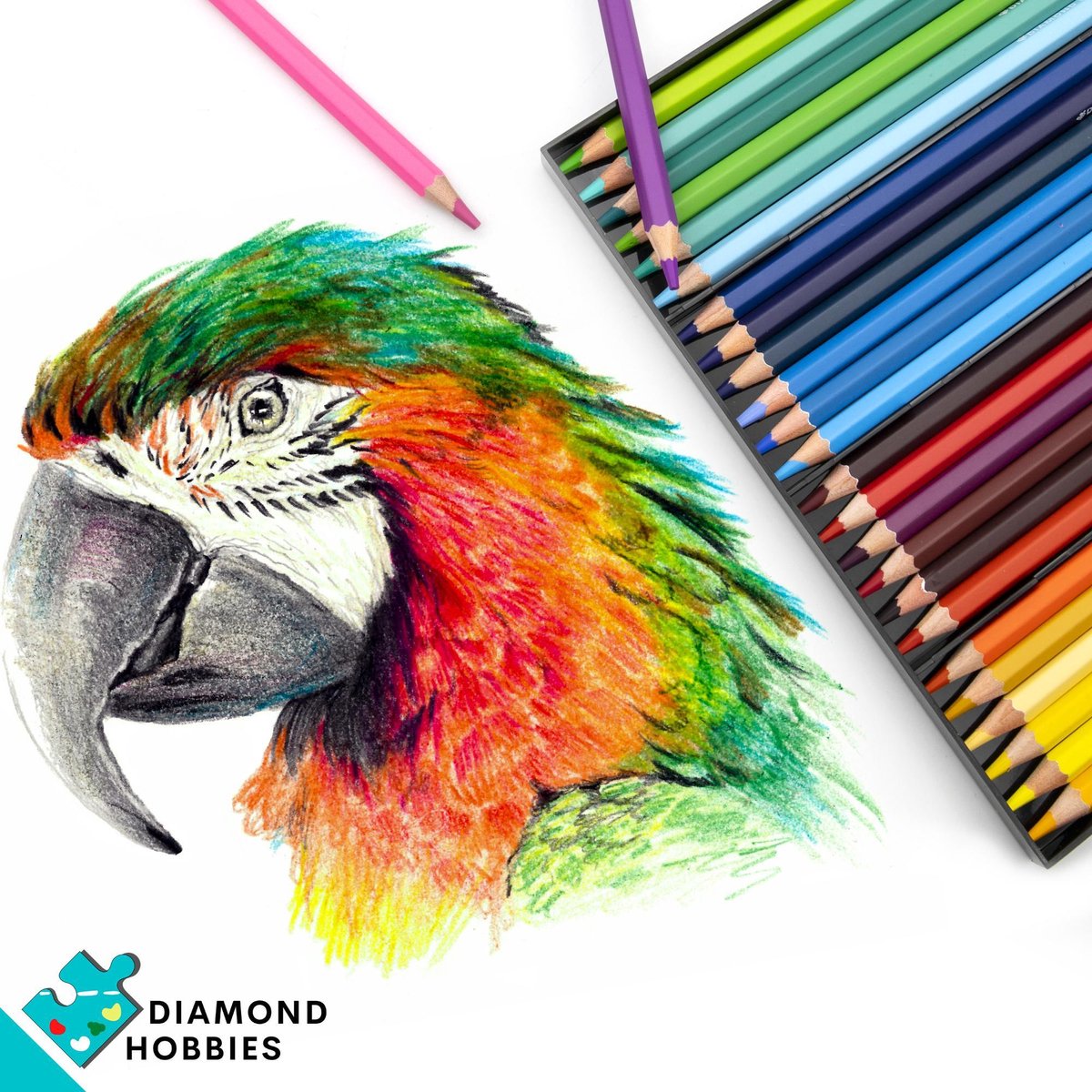 Kleurpotloden voor Volwassenen van Diamond Hobbies | 48 kleuren | Kleuren op Nummer | Tekendoos voor Volwassenen