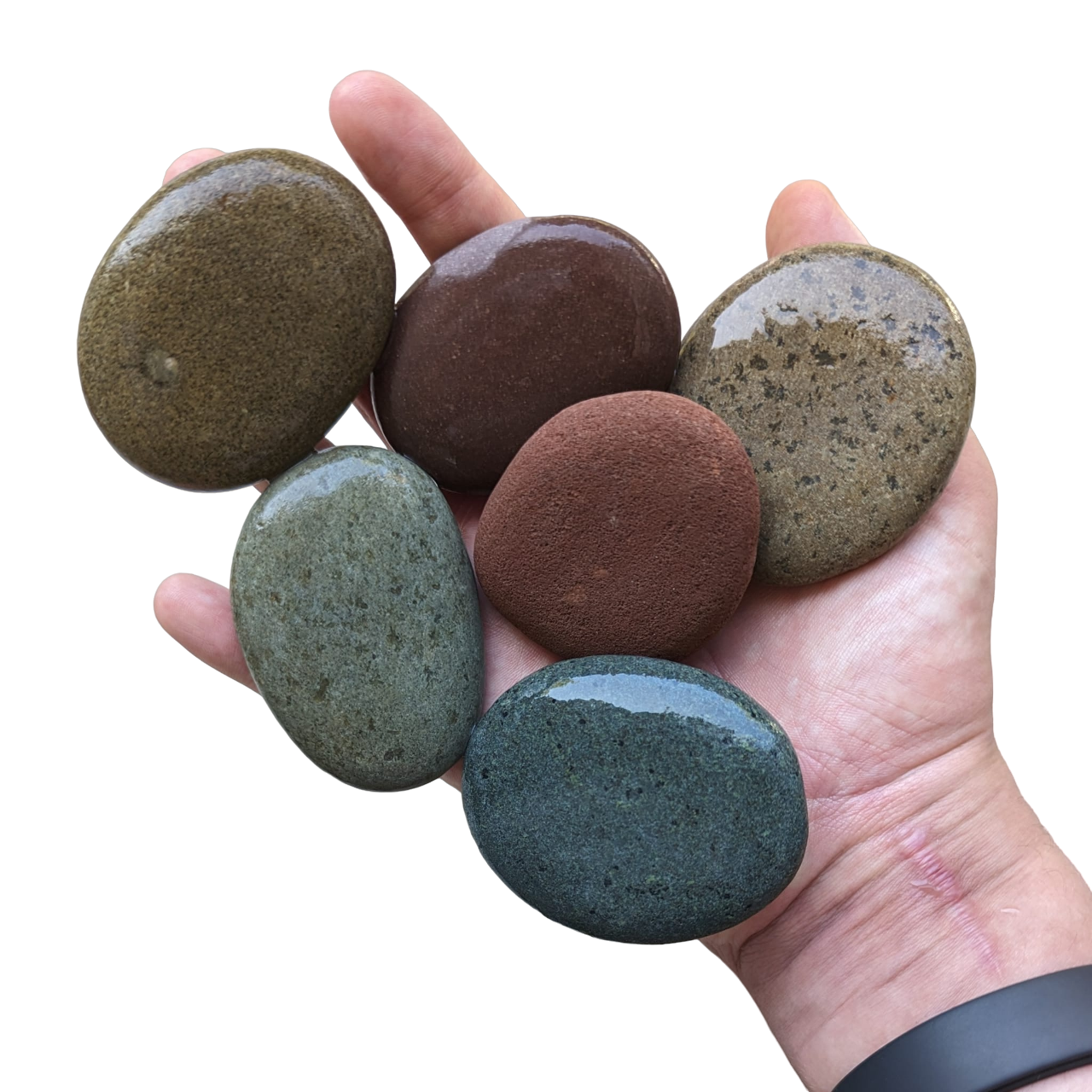 'Kans op Kleur' Schilderstenen | Plat | Dun | Glad | 5-8cm | Happy Stones | Rivierstenen