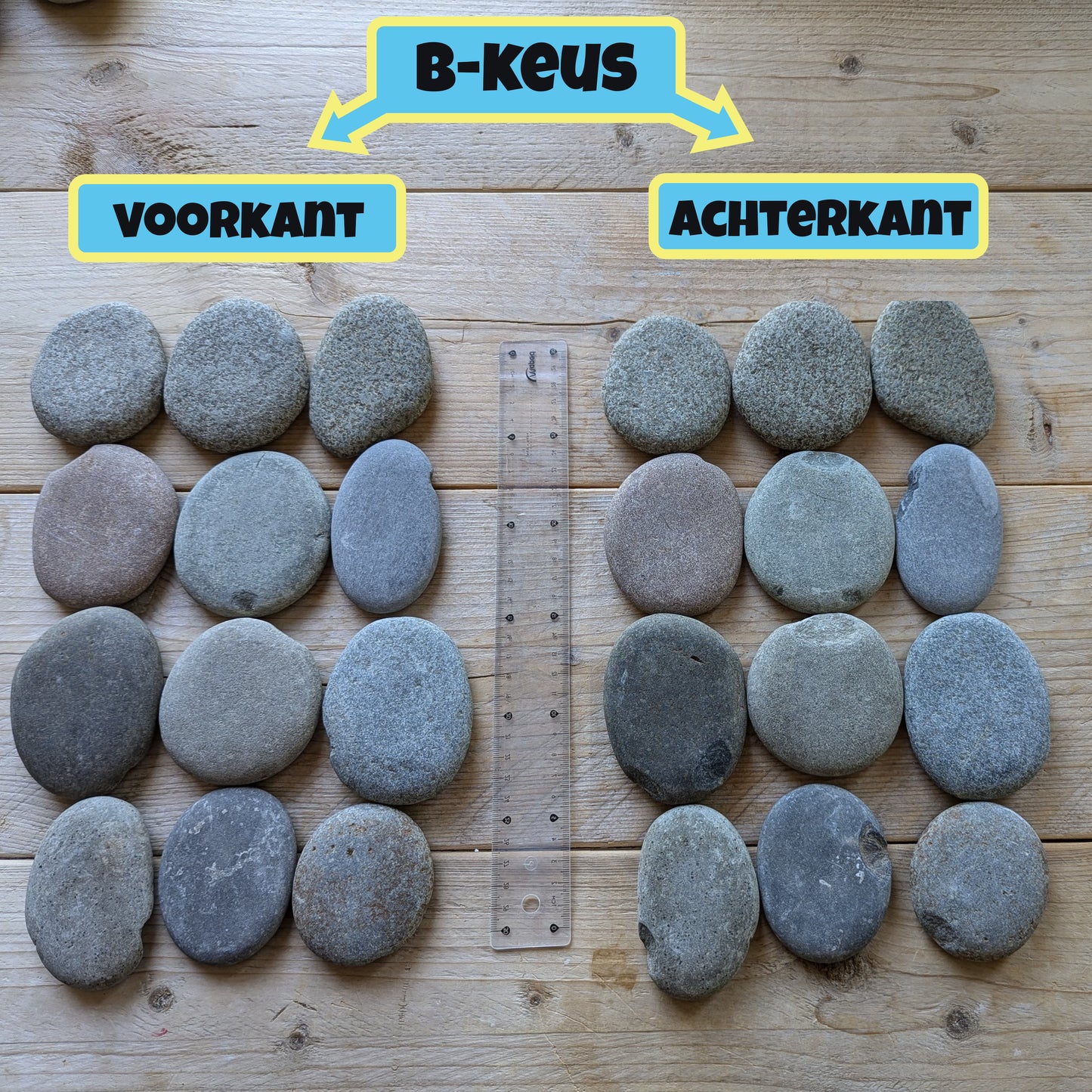 Grote Stenen per Stuk | 7-11cm | BEPERKTE VOORRAAD