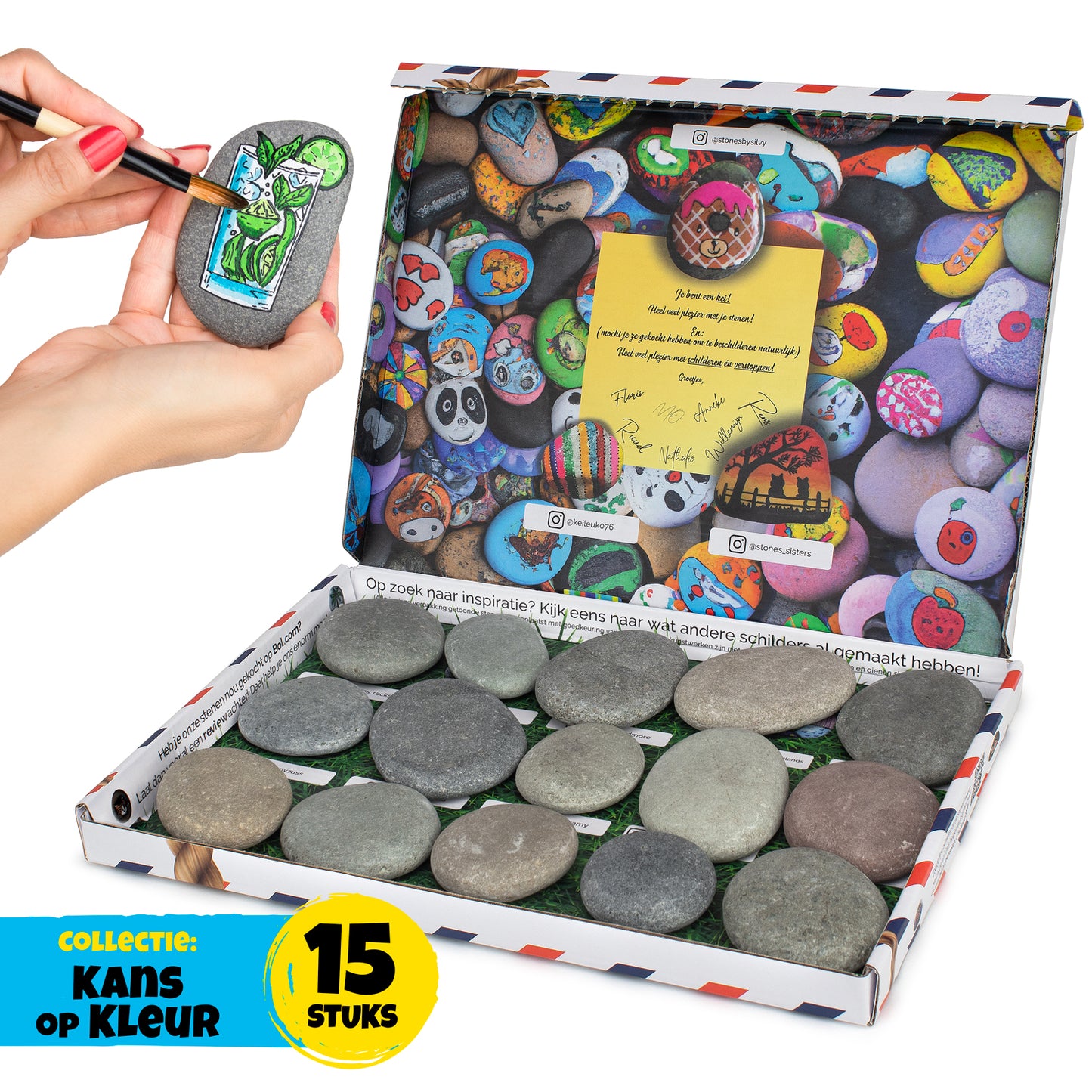 'Kans op Kleur' Schilderstenen | Plat | Dun | Glad | 5-8cm | Happy Stones | Rivierstenen